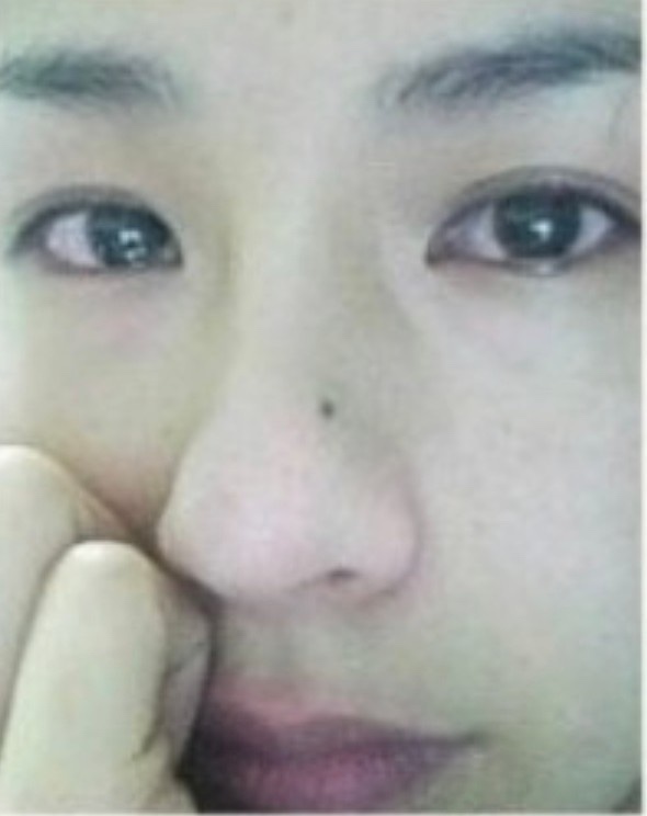 그린애플 이미지