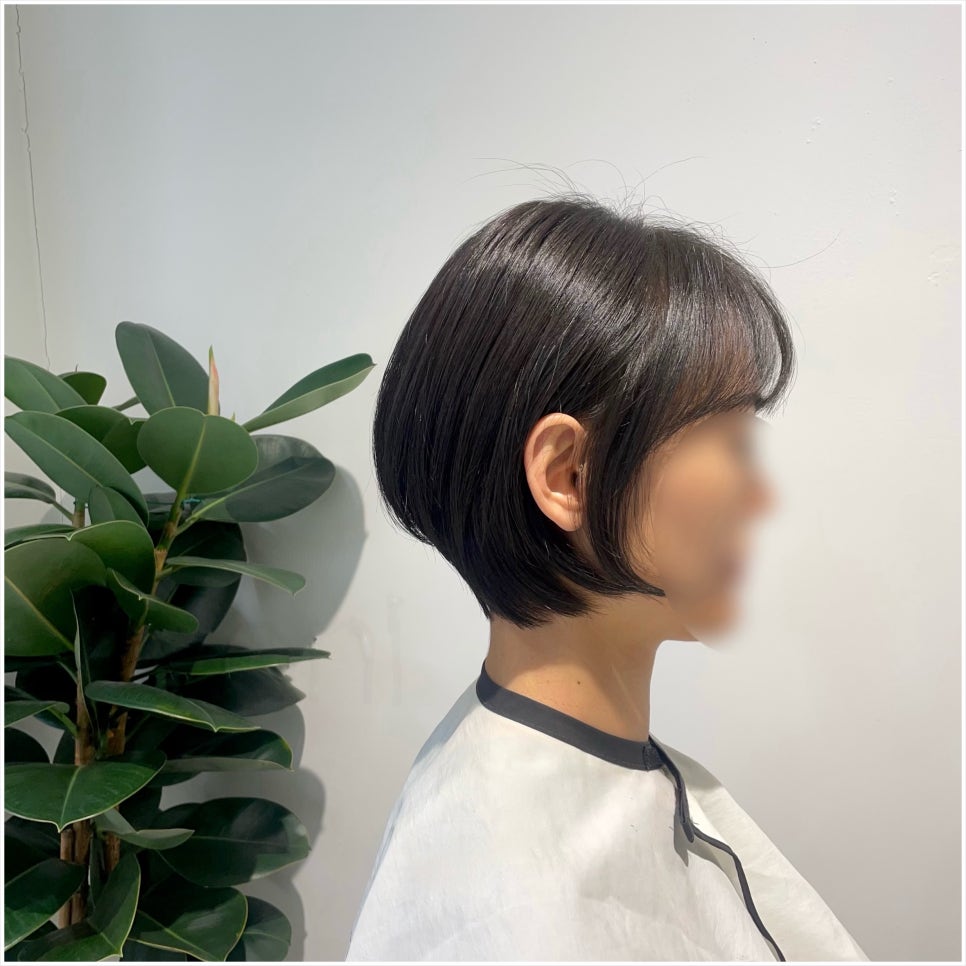 헤어101 이미지