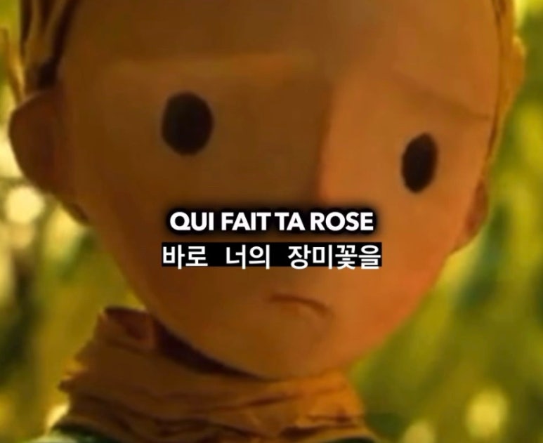 누군가의 꽃 이미지