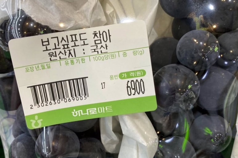 해오름달 이미지