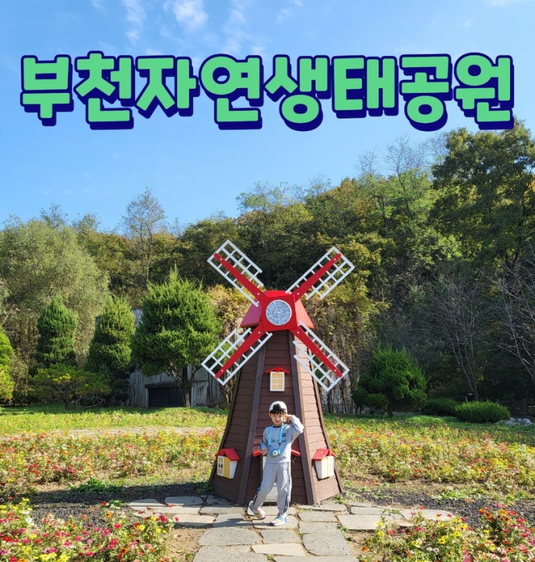 튼튼 유아숲체험원 이미지