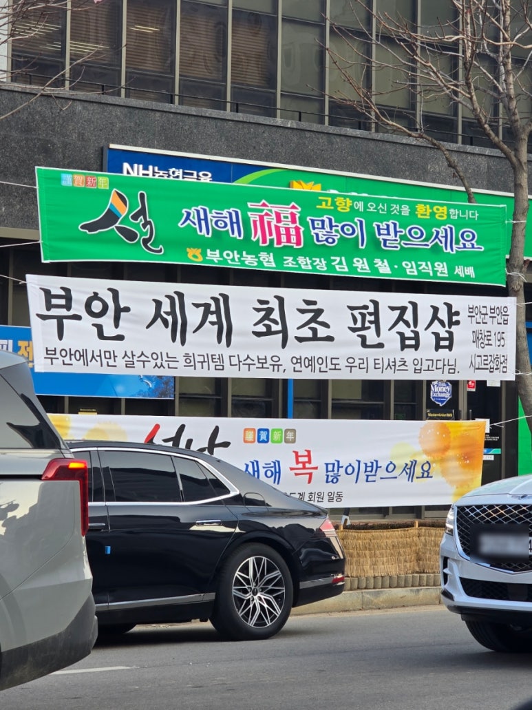 시고르청춘 이미지