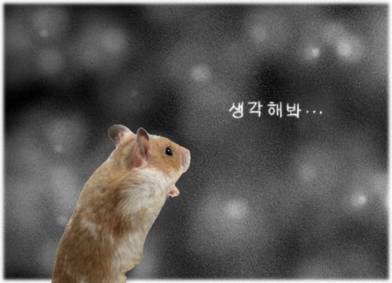 니나노 이미지