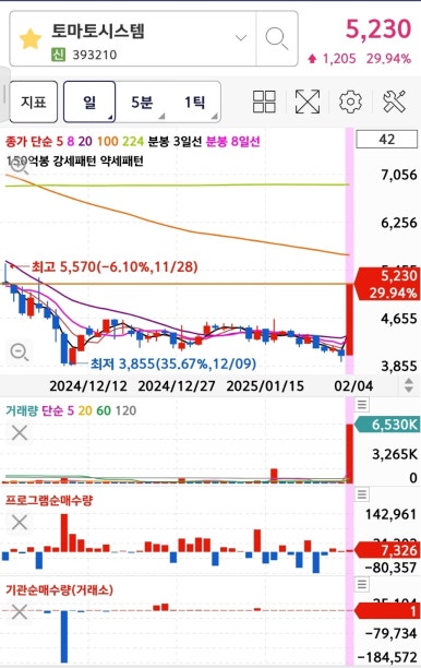 스타빌시스템 이미지