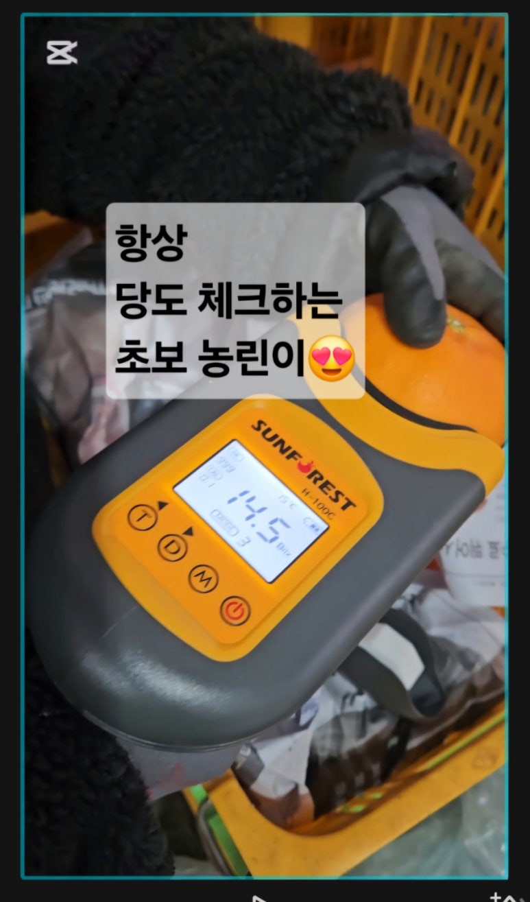 하윤이네 이미지