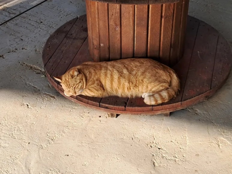 달봉이민박 이미지