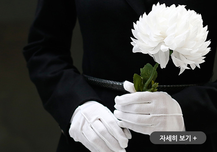 순수상조 이미지