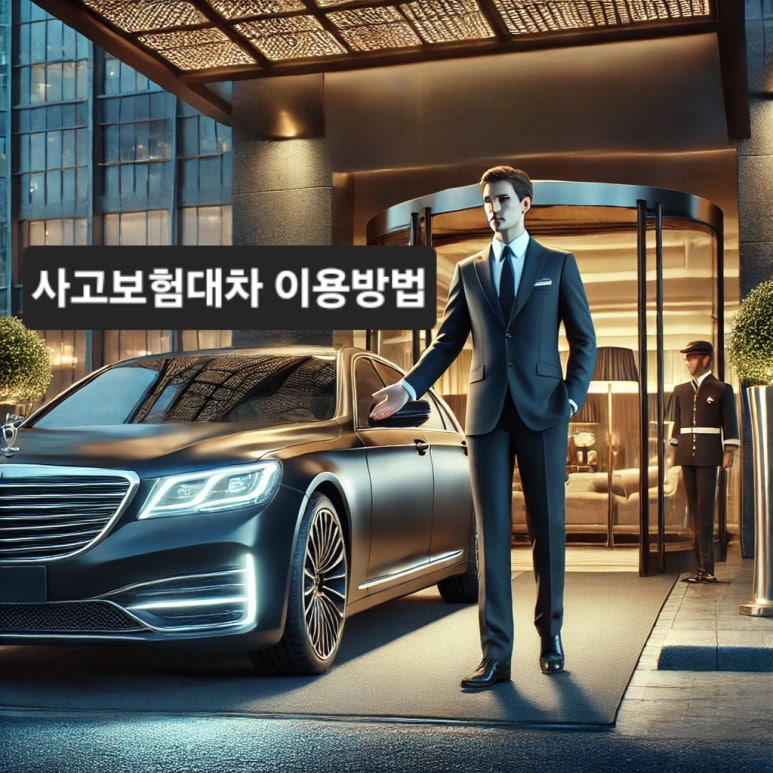 차놀자렌트카안 이미지