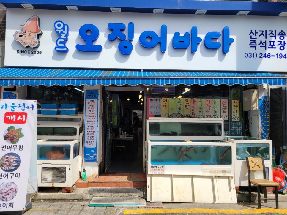 오징어바다 이미지