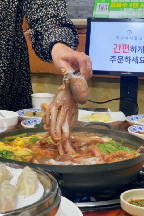 달락달리도낙지 이미지