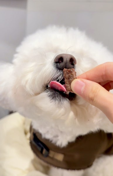 바른생고기정육점소풍정육식당 이미지