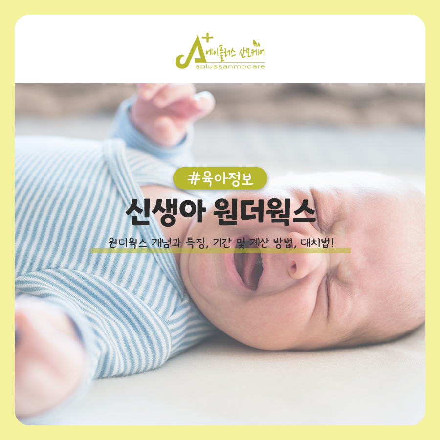 원더웍스 이미지