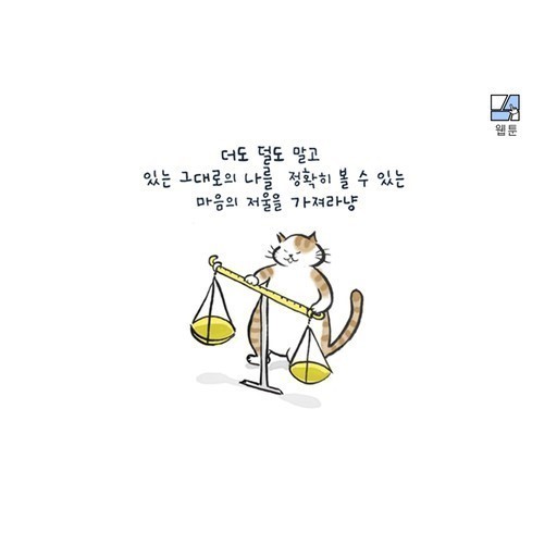 중용 이미지