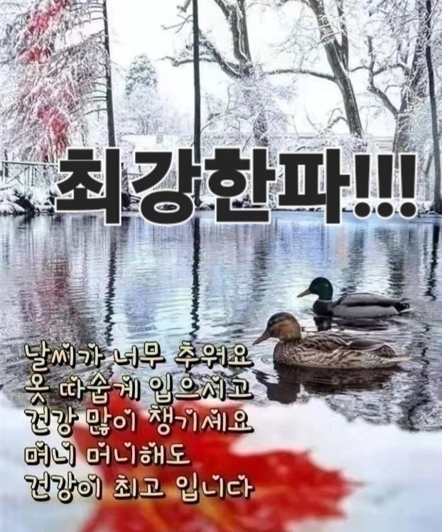 엘티 이미지