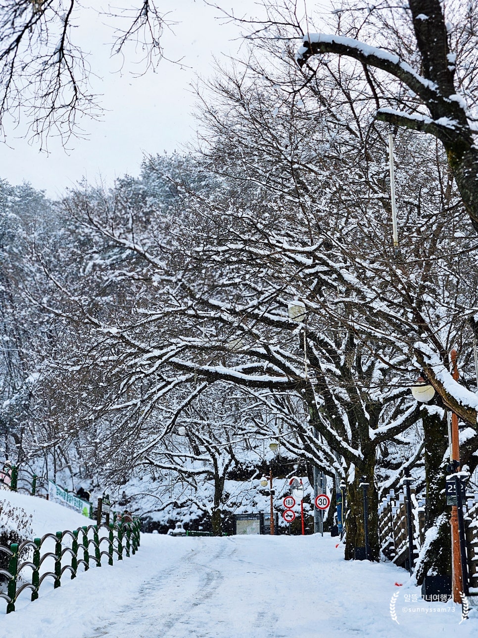 Mai Mountain Rest Area
