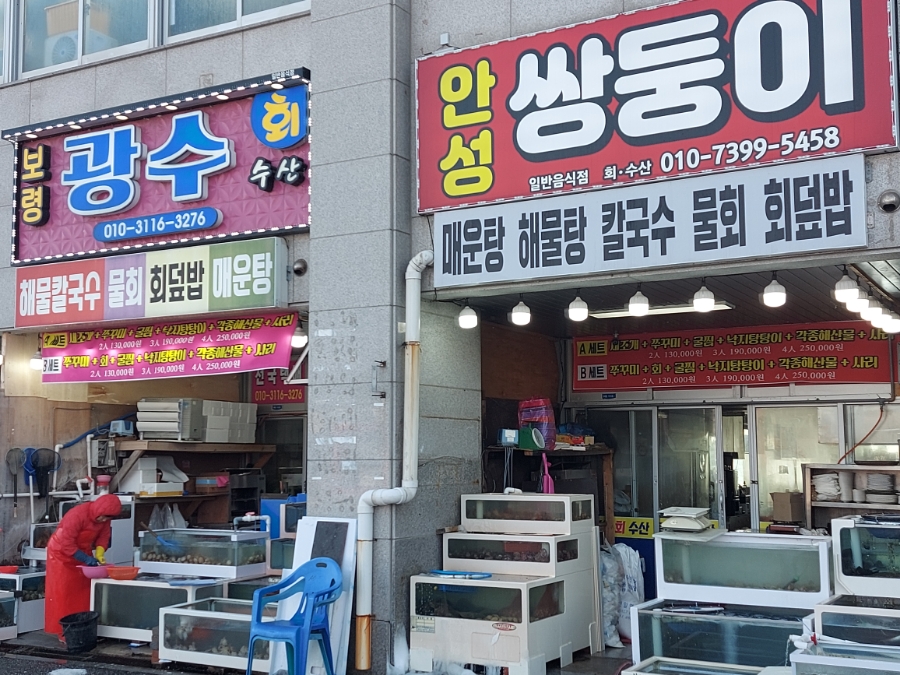 광수 새조개 이미지