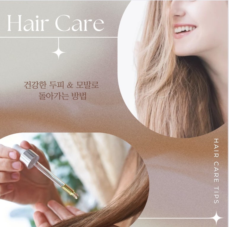 샤니클래스 이미지