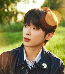 도레미광고 이미지