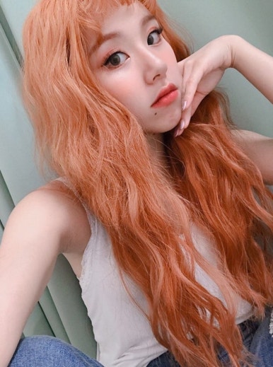 파슈헤어 이미지