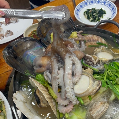 달락달리도낙지 이미지