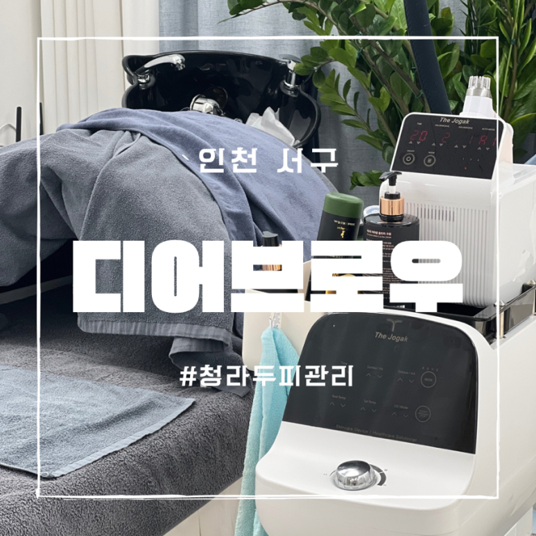 디어브로우 이미지