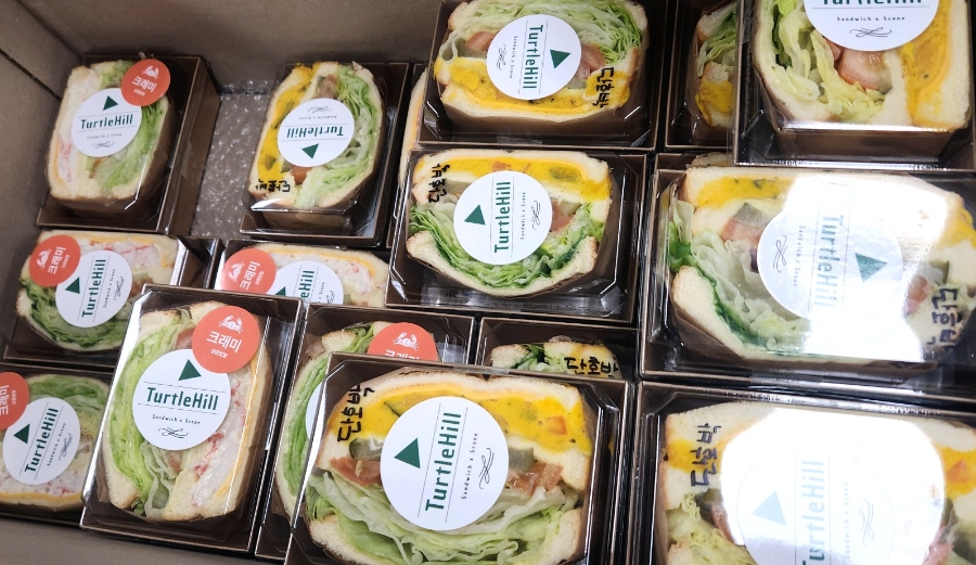 터틀힐 이미지