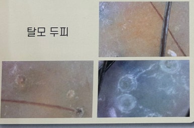 헤어나올수없어 이미지