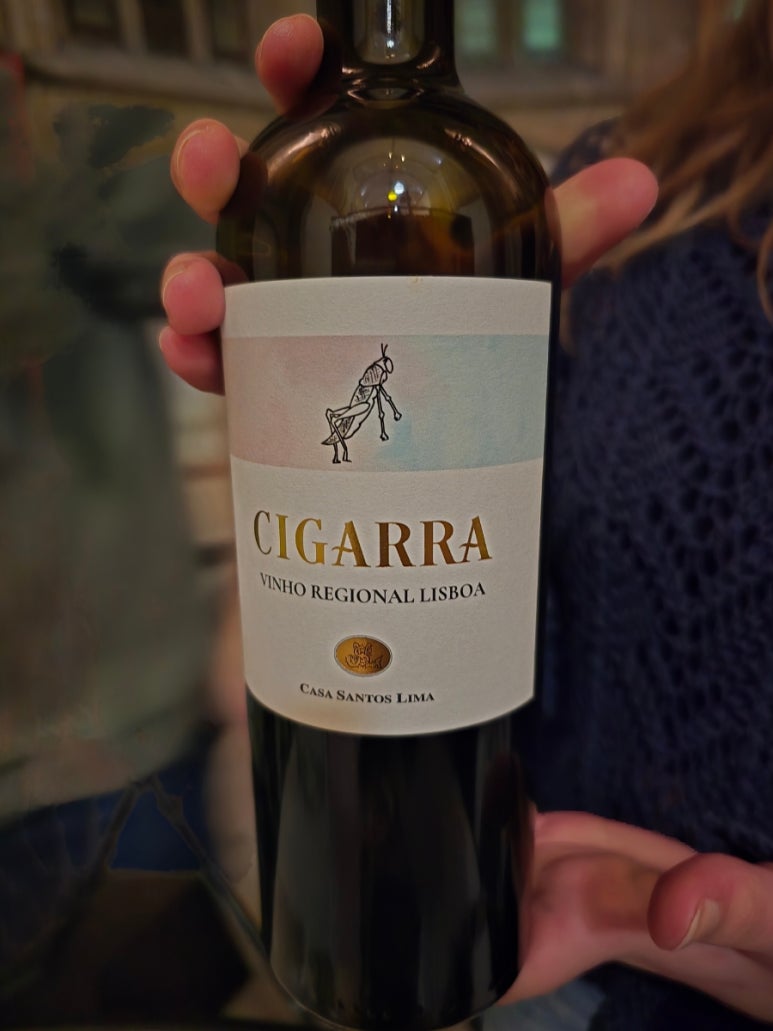 시가라(CIGARRA) 이미지