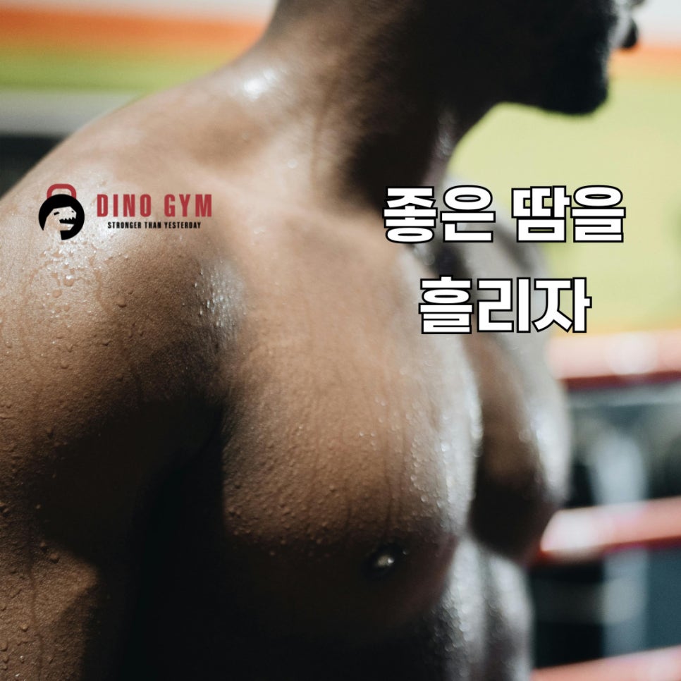 디노짐 이미지