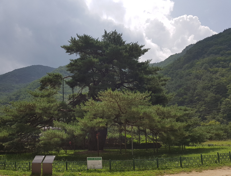 (주)청우엔지니어링 이미지