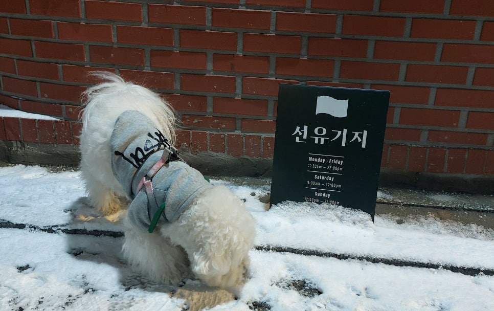 형선유 이미지