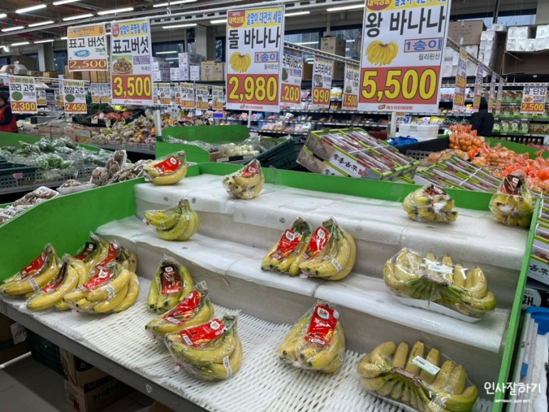 싱싱식자재할인마트 이미지