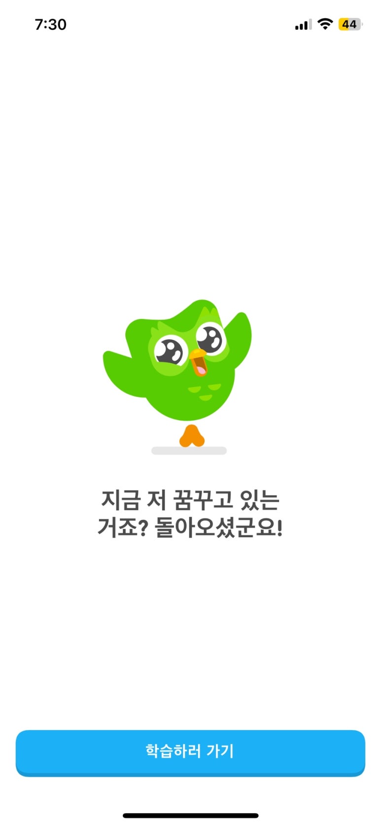 머꼬요 이미지