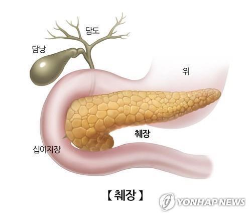 핑크팬더즈수원 이미지