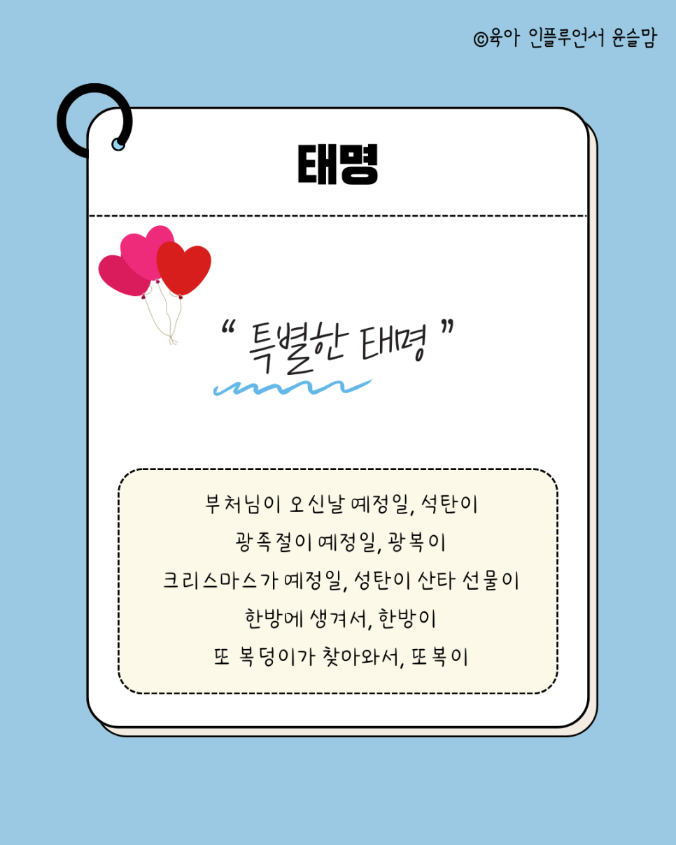 아란누리 이미지