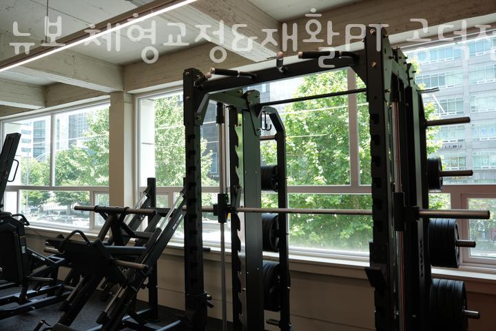 뉴보이지 이미지