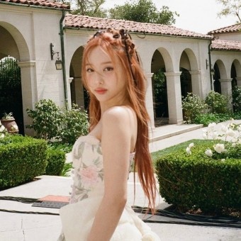 헤어브릭 이미지