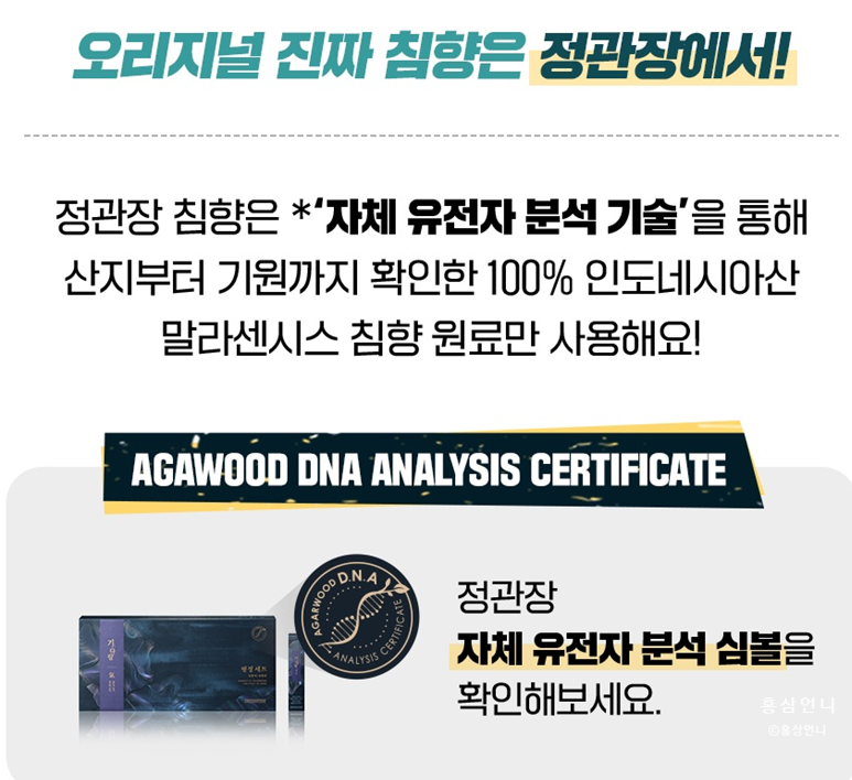 진한다림 이미지