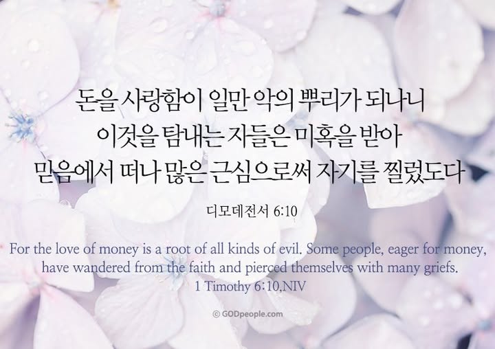 청교도콜센터 이미지