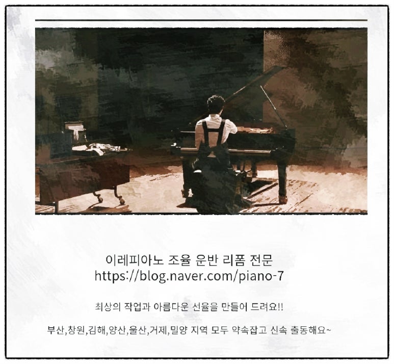 베스트신우 이미지