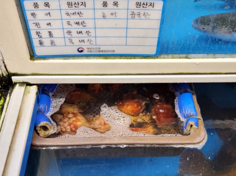 왔다도매횟집 이미지
