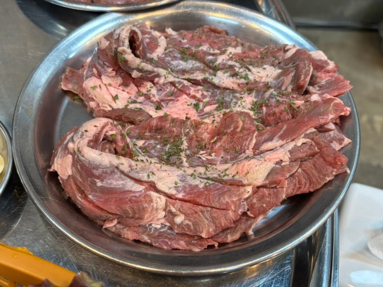 돗배갈매기 이미지