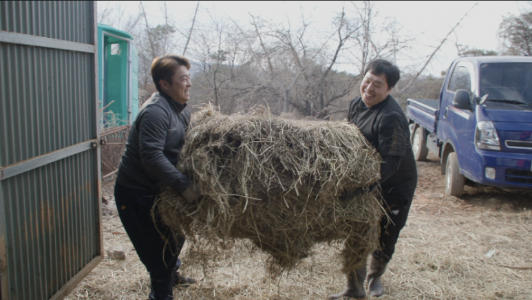 형제흑염소 이미지
