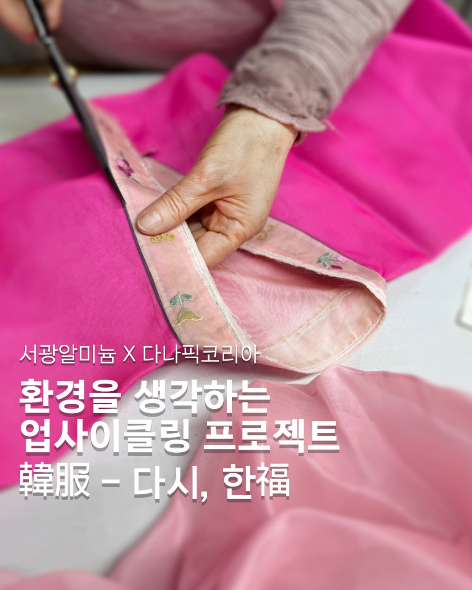 다나픽코리아 이미지