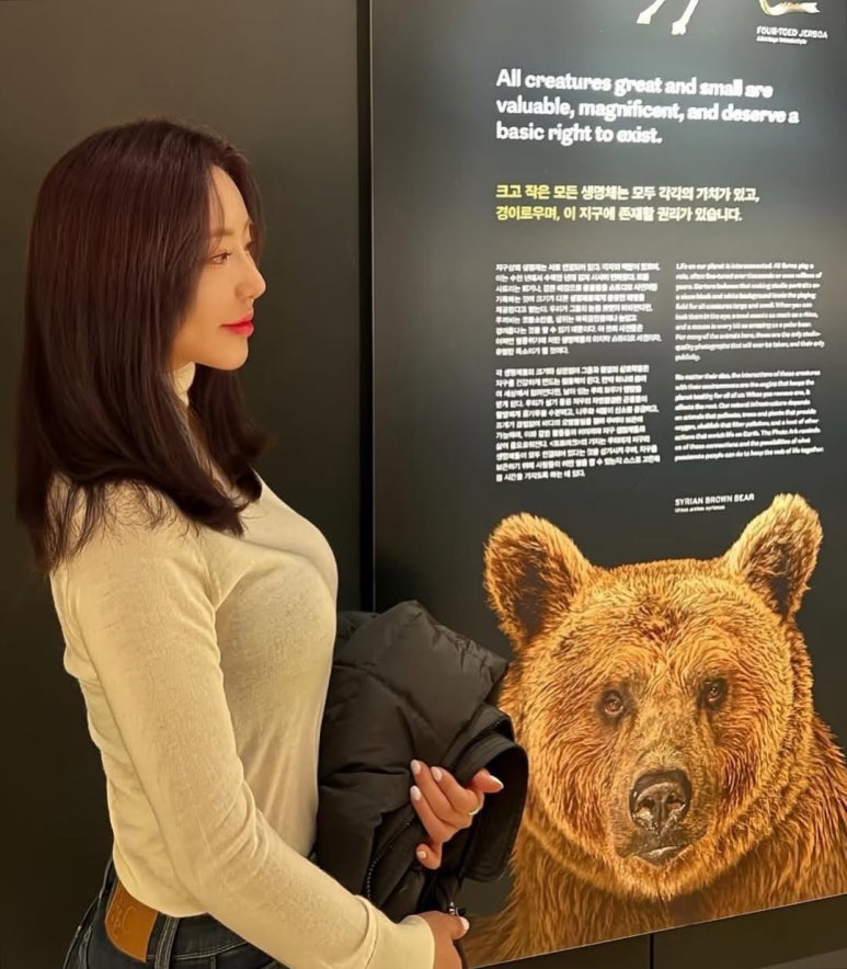 전즐 이미지