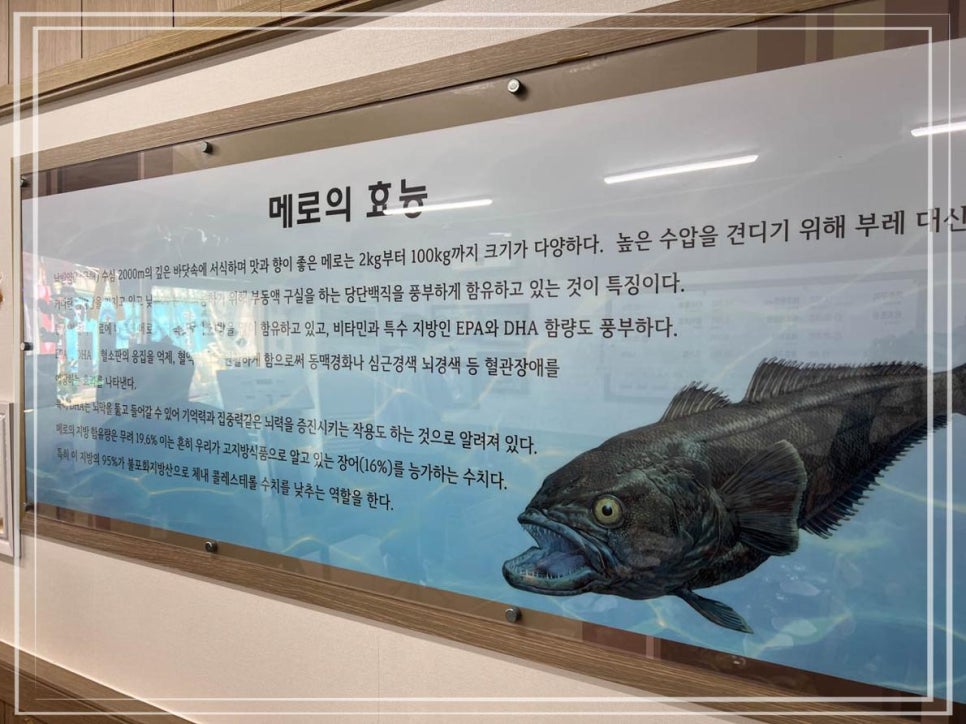 메로 이미지