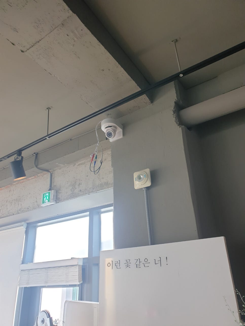 넷토피아 이미지