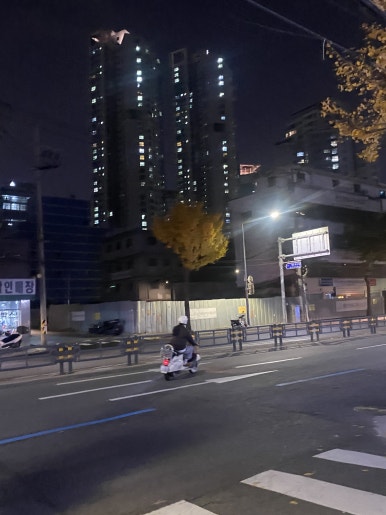 씨씨킴 이미지