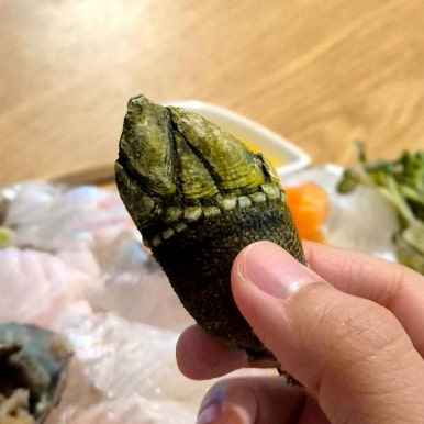 군침도는 숙성회 이미지