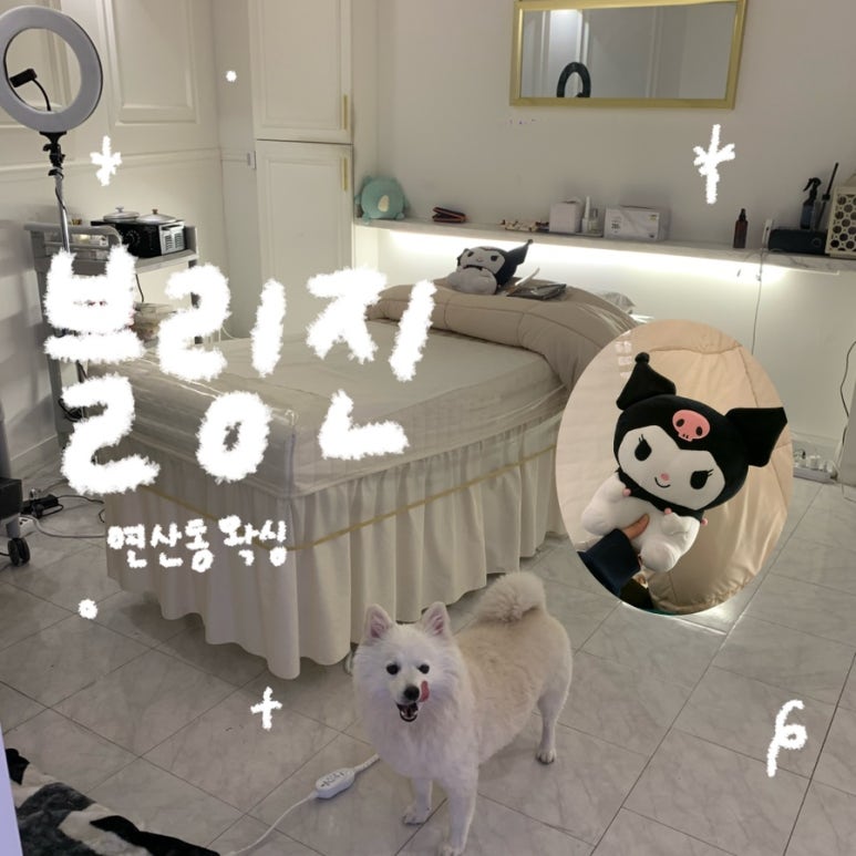블링진 이미지